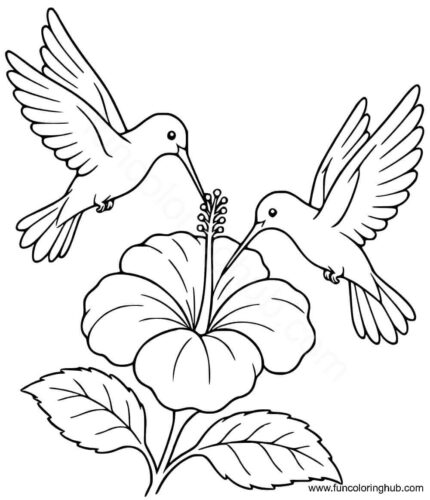 A pair of hummingbirds A pair of hummingbirds