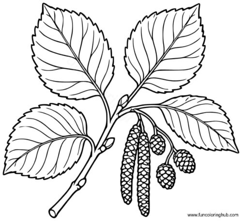 Alder Leaves Alder Leaves coloring page printable