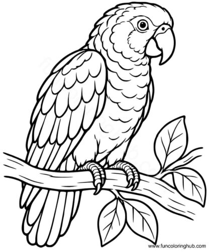 Amazon parrot coloring pages