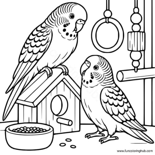 Budgerigar coloring page