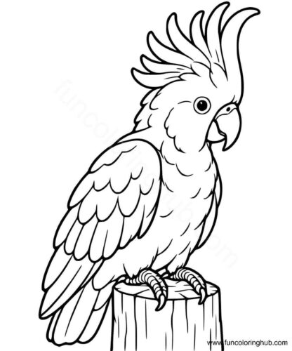 Cockatoo coloring page