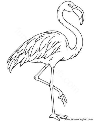 Easy flamingo coloring page Easy flamingo coloring page