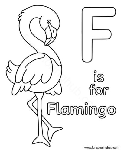 F for flamingo F for flamingo