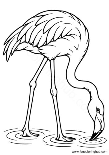 Flamingo coloring pages Flamingo coloring pages