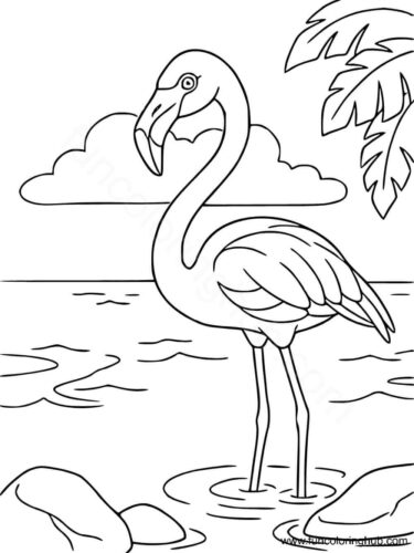 Flamingo coloring pictures Flamingo coloring pictures