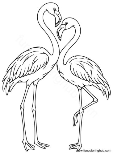 Flamingo couple Flamingo coloring in
