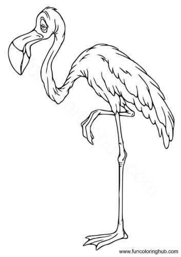 Flamingo sleeping Flamingo sleeping