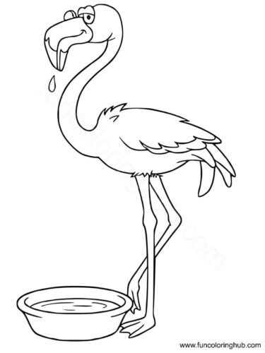 Flamingo soaking its feet in the water Flamingo soaking its feet in the water