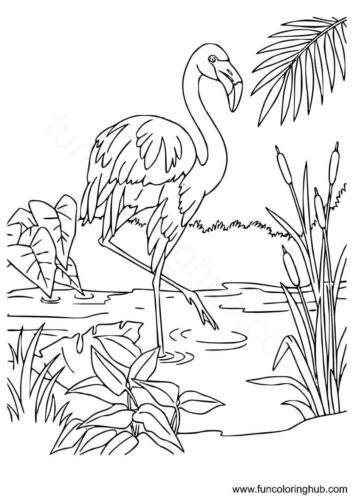 Flamingo standing on one leg Flamingo standing on one leg coloring page