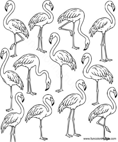 Flamingos coloring pages Flamingos coloring pages