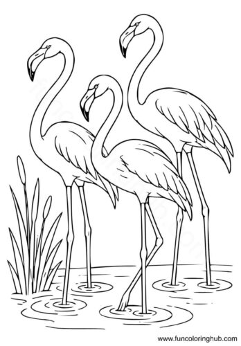 Flamingos in the lake Flamingos in the lake coloring picture