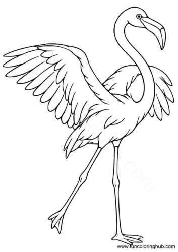 Free printable flamingo coloring page Free printable flamingo coloring page