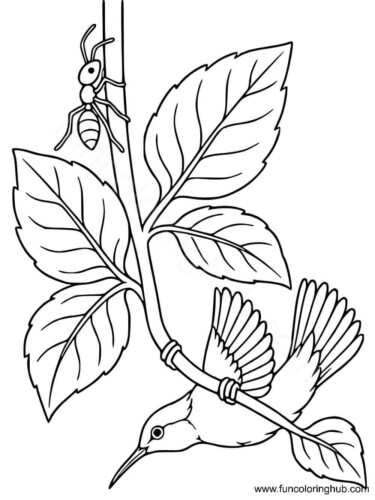 Hummingbird Perched on Branch Hummingbird Perched on Branch coloring page