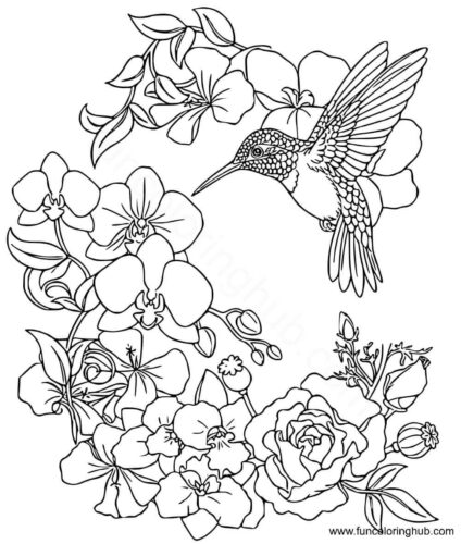 Hummingbird among flowers Hummingbird among flowers coloring page