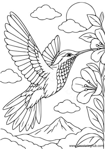 Hummingbird coloring in Hummingbird coloring in