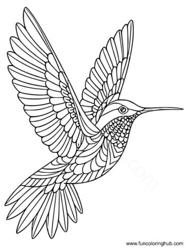 Hummingbird coloring page for adults Hummingbird coloring page for adults