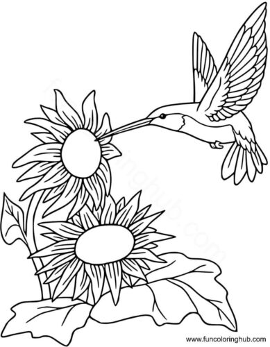 Hummingbird coloring page printable Hummingbird coloring page printable