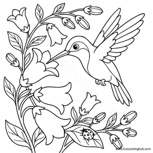 Hummingbird has got three flowers Hummingbird has got three flowers