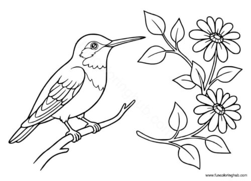Hummingbirds coloring sheets Hummingbirds coloring sheets