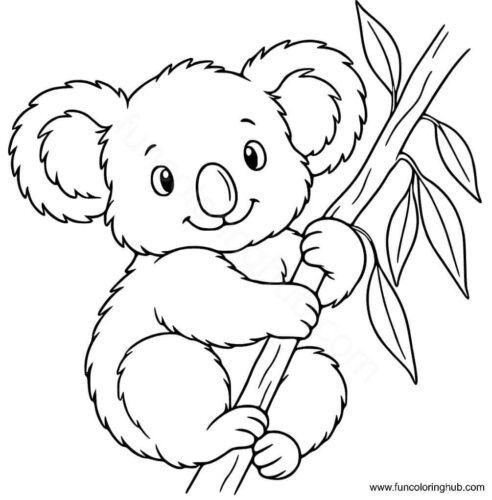 Koala with eucalyptus leaf branch Koala with eucalyptus leaf branch