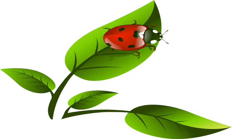 Leaf coloring pages for kids