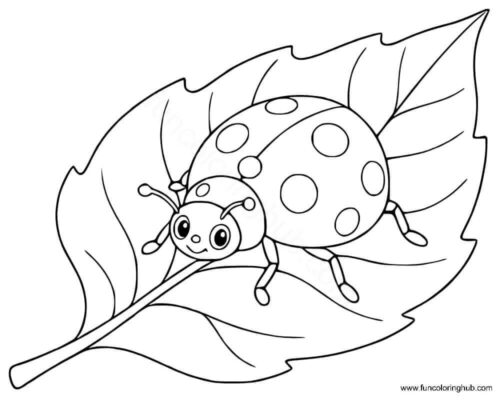 Leaf coloring pictures Leaf coloring pictures