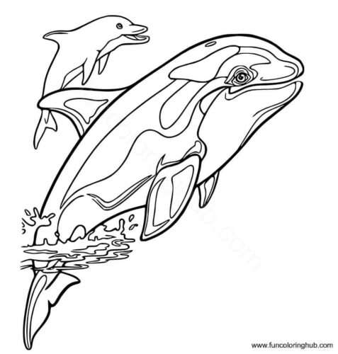 Lisa Frank Max Splash Coloring Page