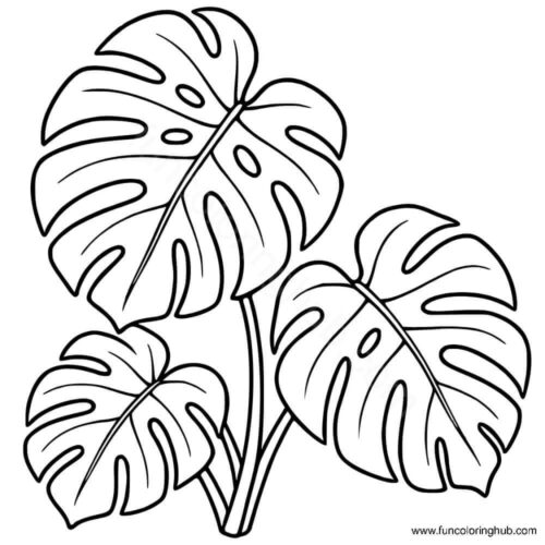 Monstera Leaves coloring page Monstera Leaves coloring page