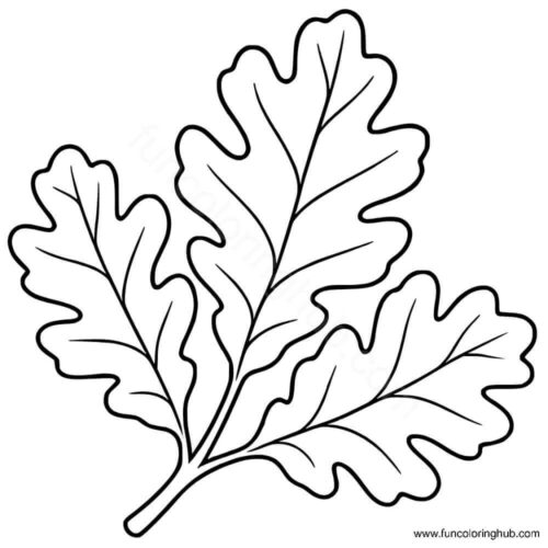 Oak Leaf coloring page Oak Leaf coloring page