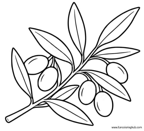 Olive tree leaves coloring page Olive tree leaves coloring page