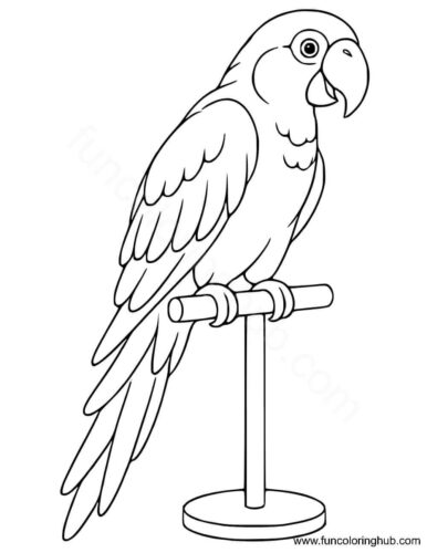 Parrot coloring pages