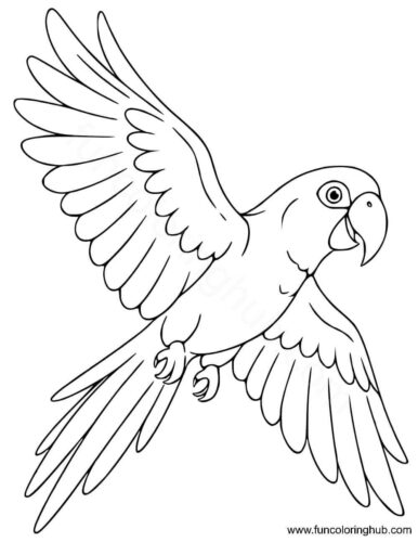 Parrot coloring pages for kids