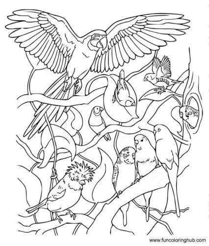 Parrot coloring pages printable