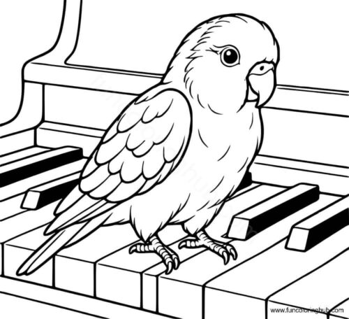 Parrotlet on piano keys