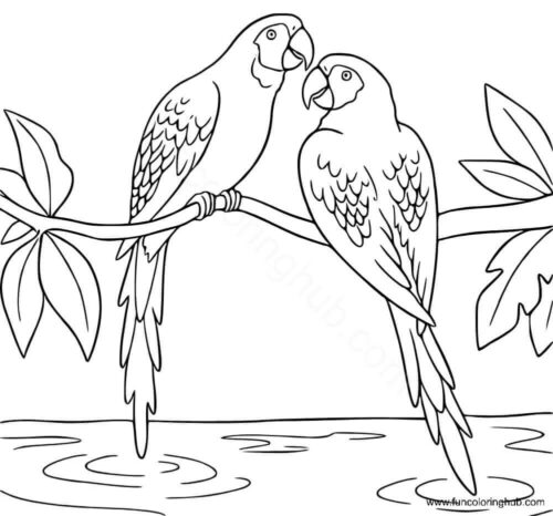 Parrots coloring pages
