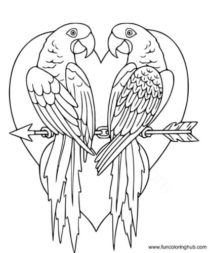 Parrots in love colouring page