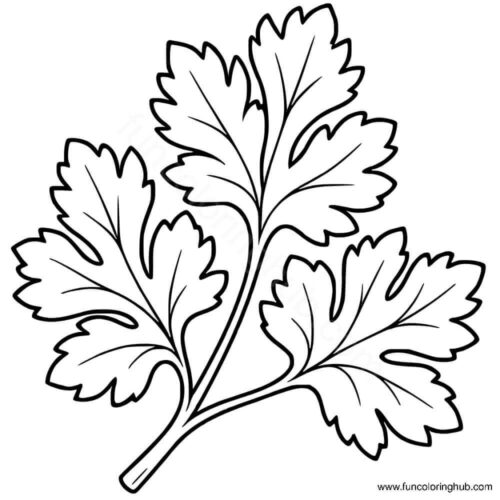 Parsley Leaves Parsley Leaves coloring page
