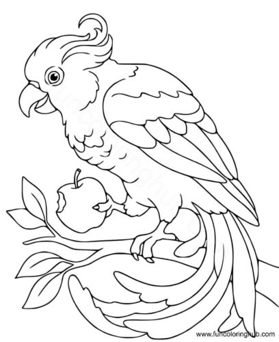 Pet parrot coloring page