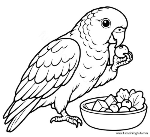 Pionus parrot coloring page