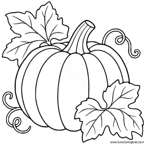 Pumpkin with its leaves Pumpkin with its leaves coloring page