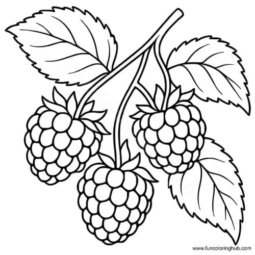 Raspberry with the leaves Raspberry with the leaves