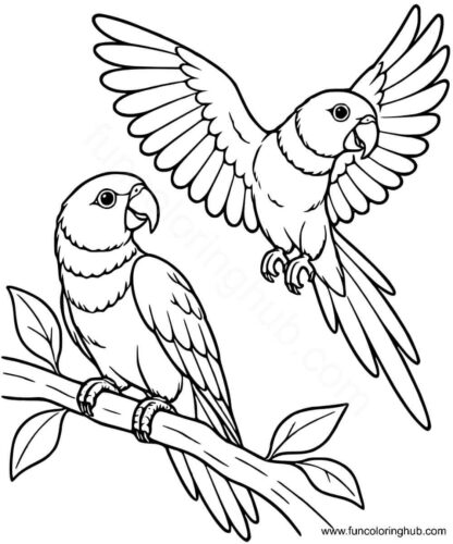 Red Collared Lorikeets coloring image