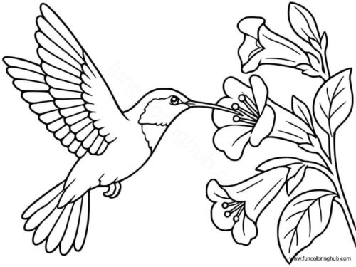 Ruby Throated Hummingbird Ruby Throated Hummingbird