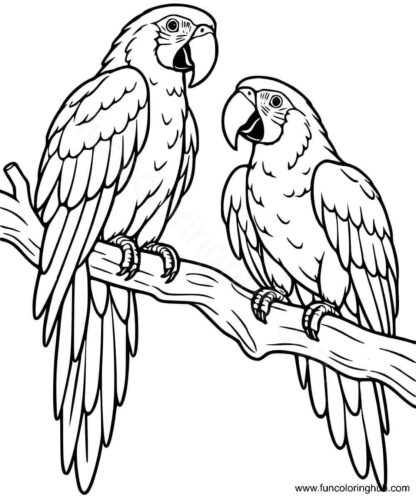 Scarlet Macaws coloring page