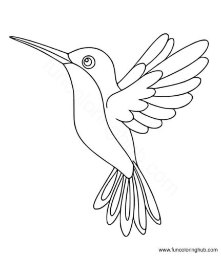 Simple hummingbird coloring page for kids Simple hummingbird coloring page for kids