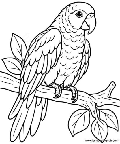 Sisserou Parrot coloring page