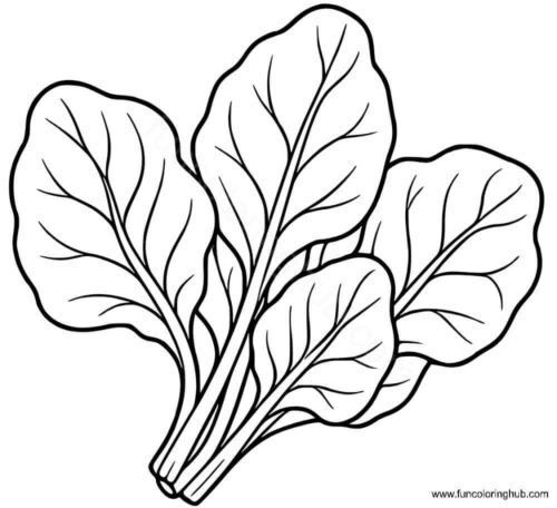 Spinach leaves coloring page Spinach leaves coloring page