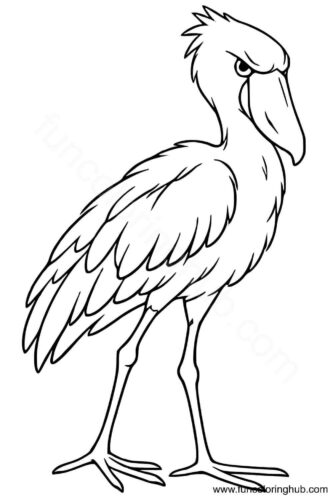 Young flamingo coloring page Young flamingo coloring page