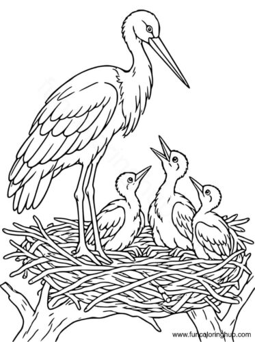 Birds coloring pages
