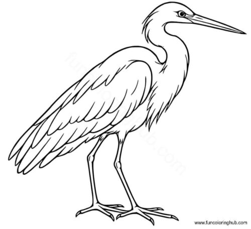 Egret coloring page